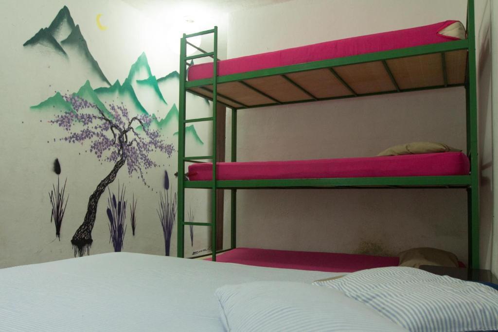 El Misti Hostel Ilha Grande Ilha Grande  Dış mekan fotoğraf