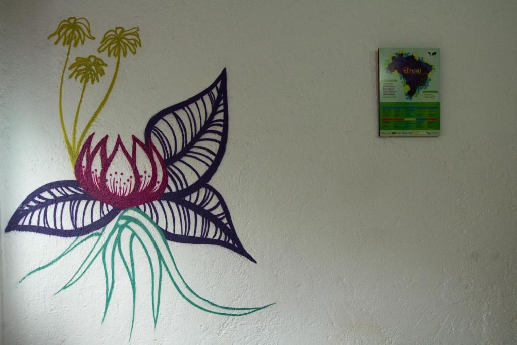 El Misti Hostel Ilha Grande Ilha Grande  Dış mekan fotoğraf